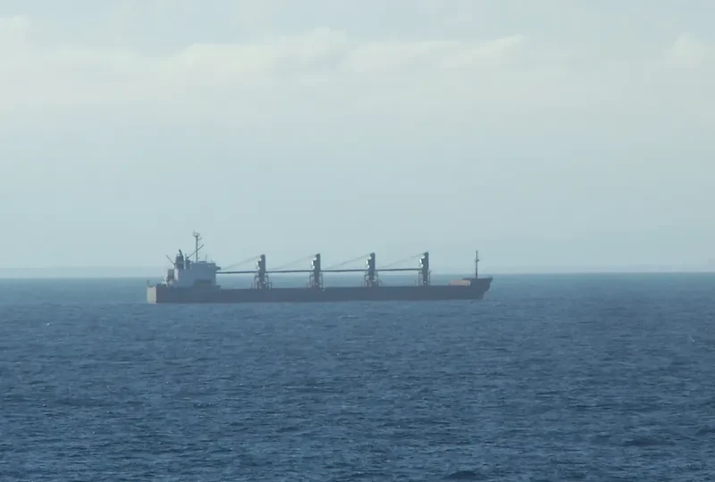 MARINER J Bulk Carrier IMO 8405232 photo 3