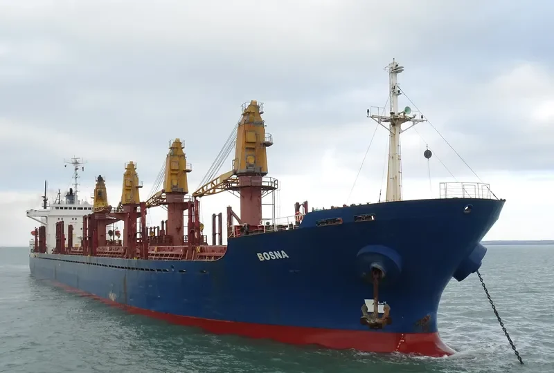 BOSNA Bulk Carrier IMO 8405373 photo 3