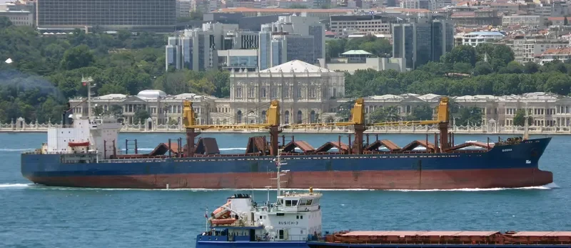BOSNA Bulk Carrier IMO 8405373 photo 7