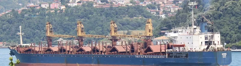 BOSNA Bulk Carrier IMO 8405373 photo 8