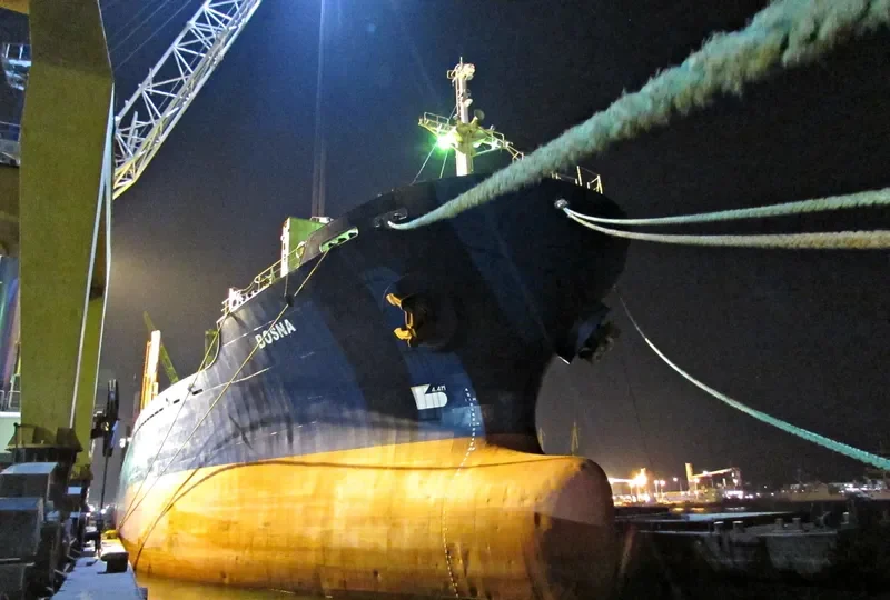 BOSNA Bulk Carrier IMO 8405373 photo 9
