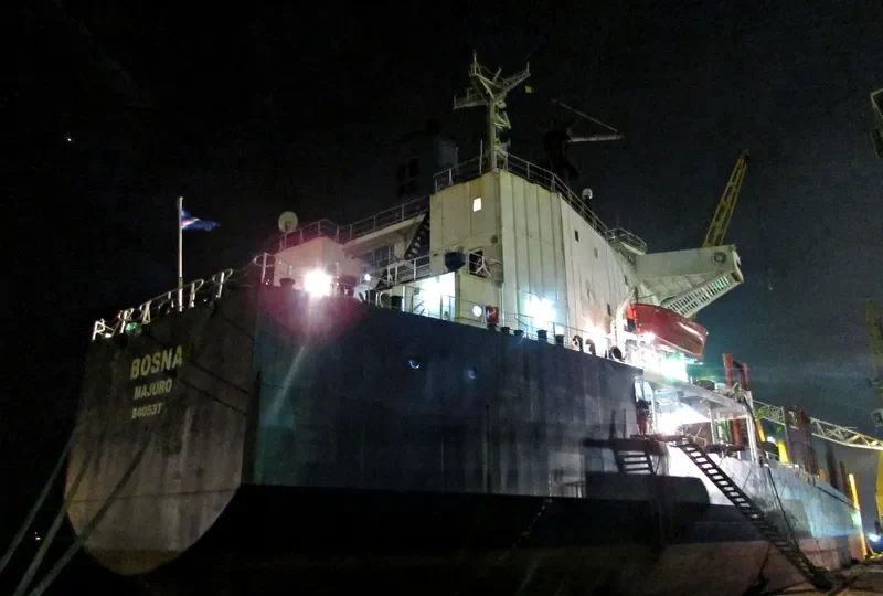 BOSNA Bulk Carrier IMO 8405373 photo 10