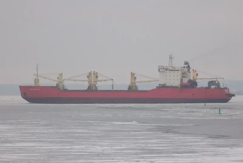 YURIY ARSHENEVSKIY Ro-Ro IMO 8406705