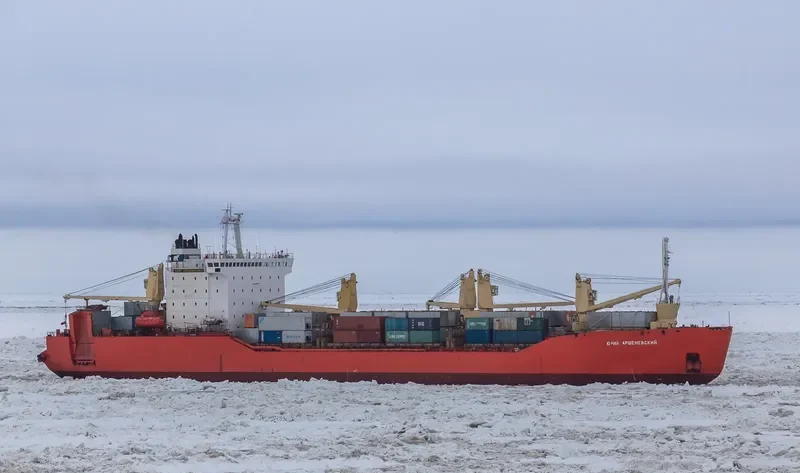 YURIY ARSHENEVSKIY Ro-Ro IMO 8406705 photo 3