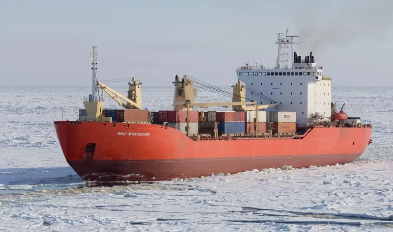YURIY ARSHENEVSKIY Ro-Ro IMO 8406705 photo 4