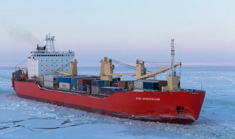 YURIY ARSHENEVSKIY Ro-Ro IMO 8406705 photo 8