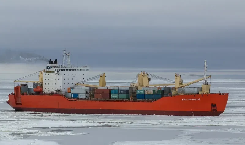 YURIY ARSHENEVSKIY Ro-Ro IMO 8406705 photo 9