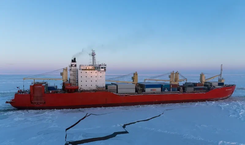 YURIY ARSHENEVSKIY Ro-Ro IMO 8406705 photo 10