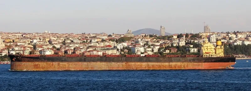 CAPE M Bulk Carrier IMO 8407498