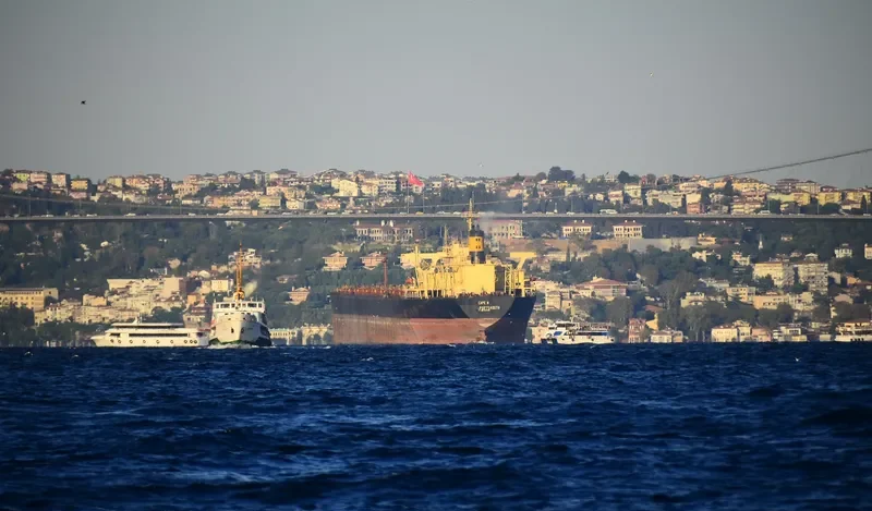 CAPE M Bulk Carrier IMO 8407498 photo 2