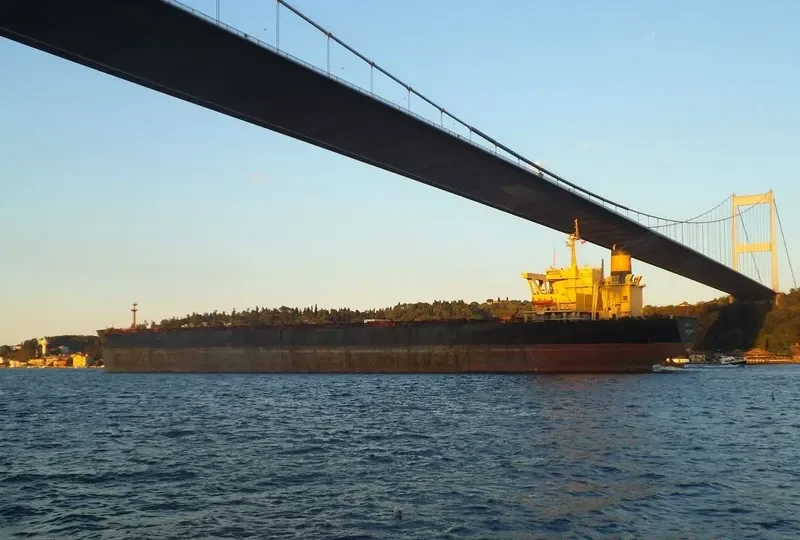 CAPE M Bulk Carrier IMO 8407498 photo 3