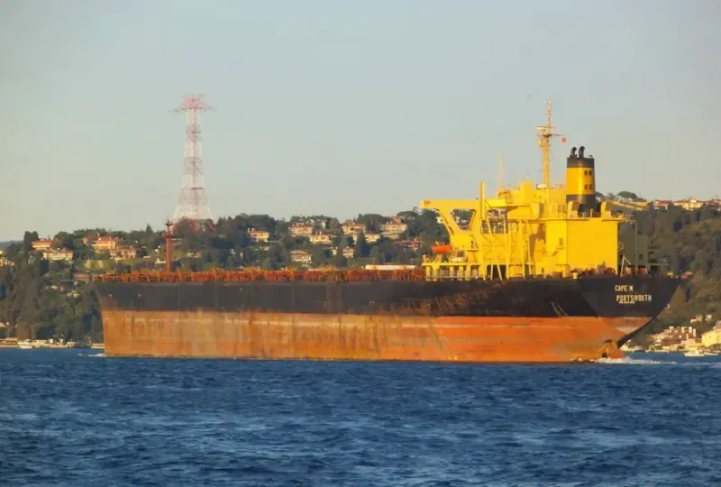 CAPE M Bulk Carrier IMO 8407498 photo 4