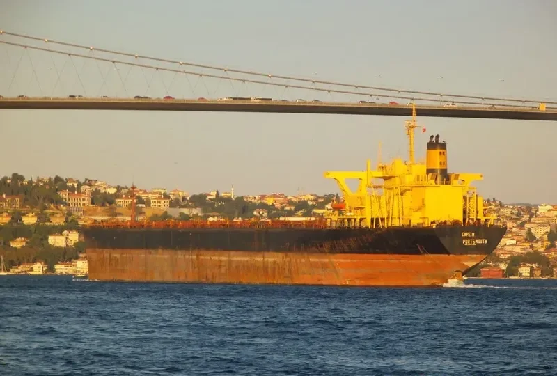 CAPE M Bulk Carrier IMO 8407498 photo 5