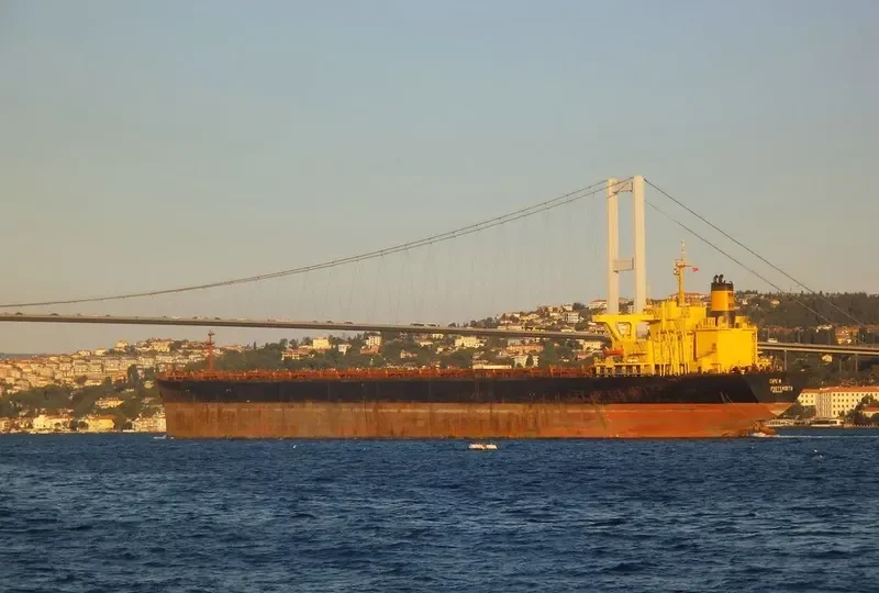 CAPE M Bulk Carrier IMO 8407498 photo 6