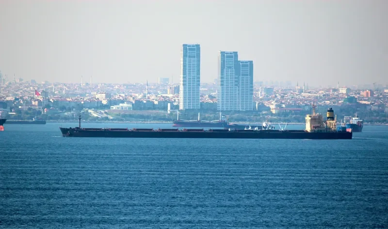 CAPE M Bulk Carrier IMO 8407498 photo 7