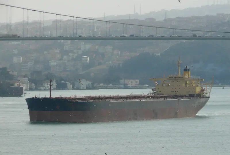 CAPE M Bulk Carrier IMO 8407498 photo 10