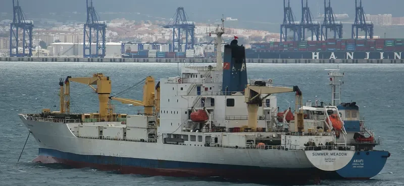 SUMMER MEADOW General Cargo IMO 8407814 photo 9