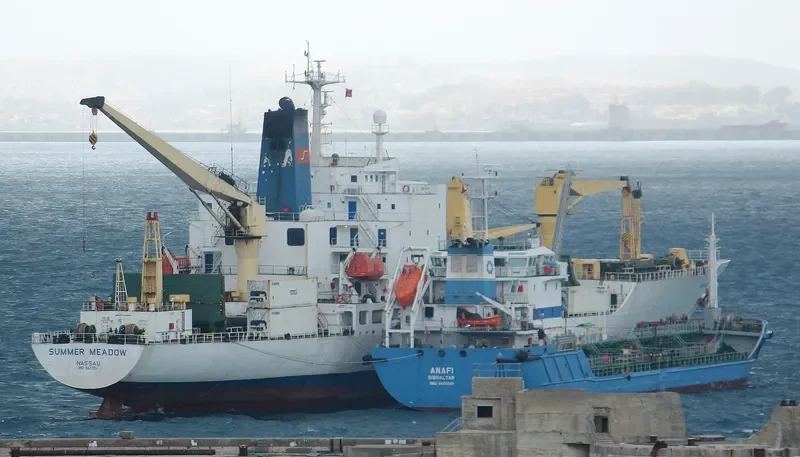 SUMMER MEADOW General Cargo IMO 8407814 photo 10