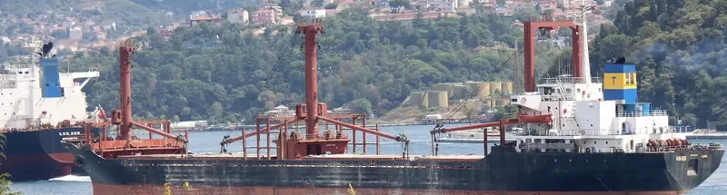 HH18 Bulk Carrier IMO 8408741 photo 2
