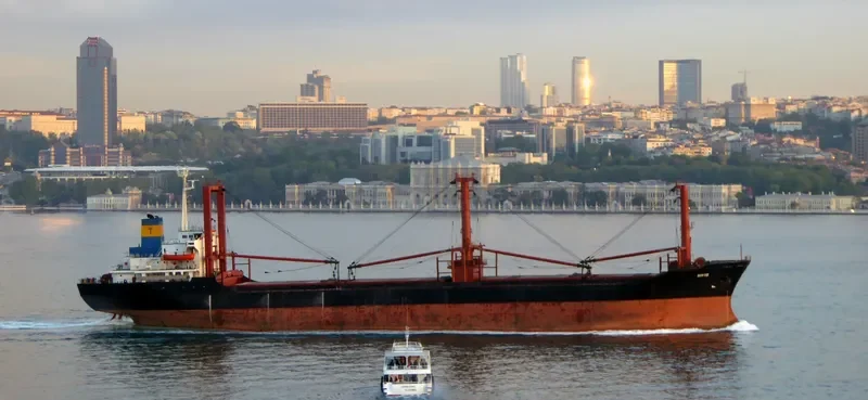 HH18 Bulk Carrier IMO 8408741 photo 3