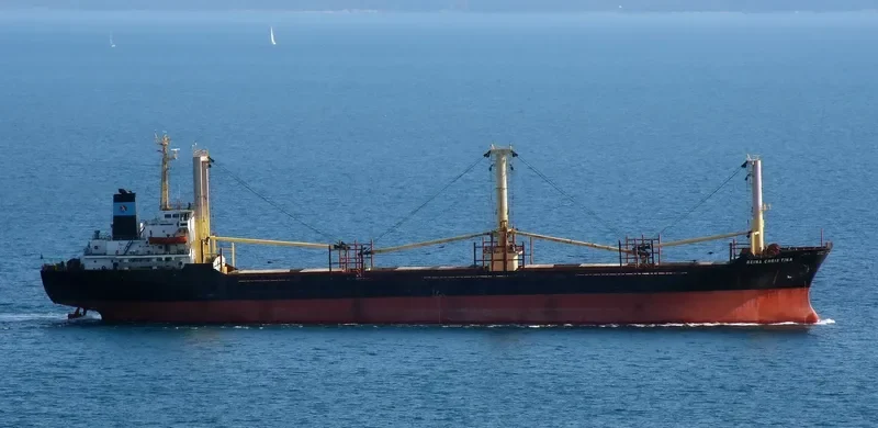 HH18 Bulk Carrier IMO 8408741 photo 10