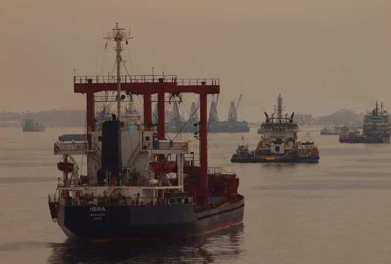 PINK ROSE General Cargo IMO 8408789 photo 2