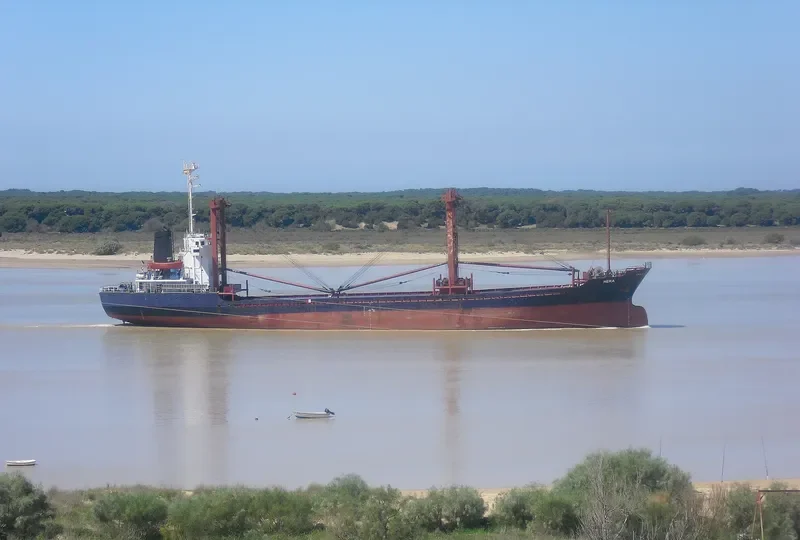PINK ROSE General Cargo IMO 8408789 photo 6