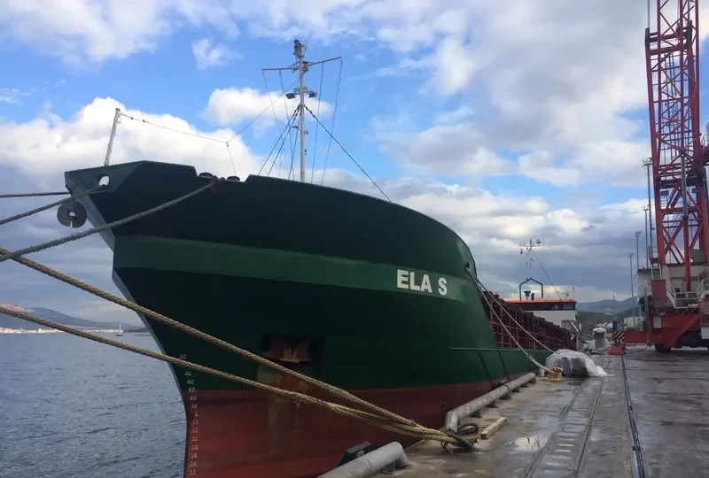 HAPPY ASENA General Cargo IMO 8409654 photo 9