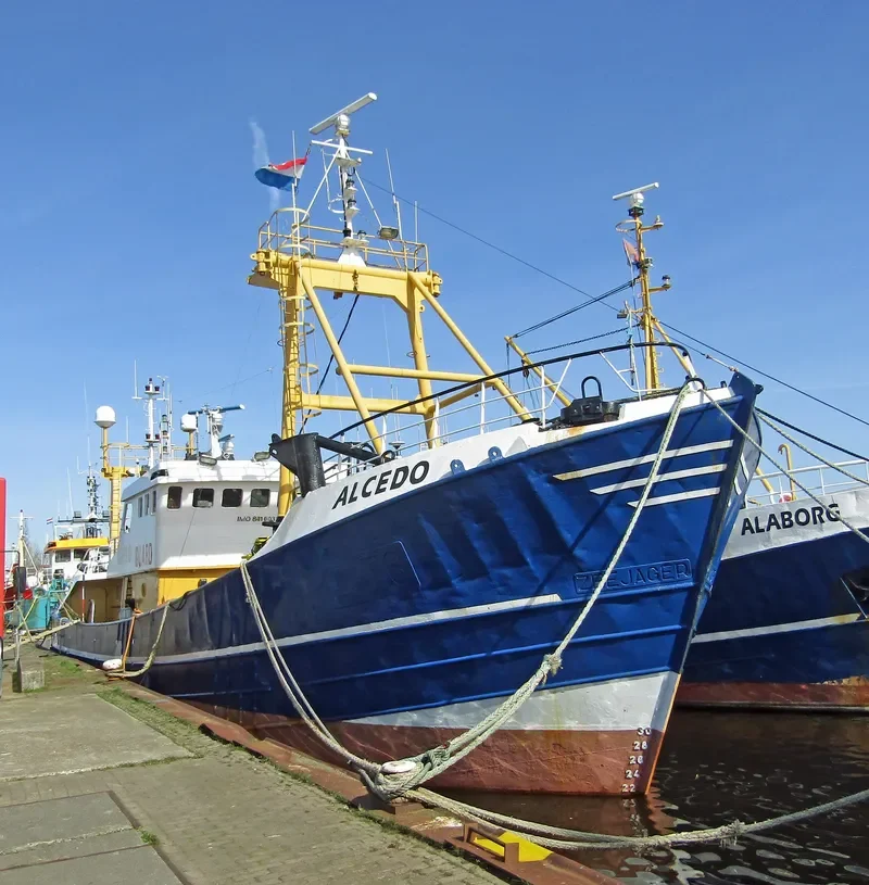 ALCEDO General Cargo IMO 8410031