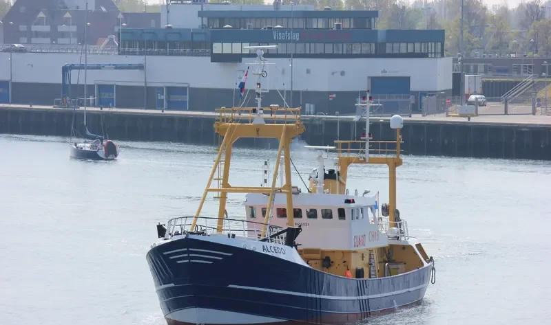 ALCEDO General Cargo IMO 8410031 photo 7