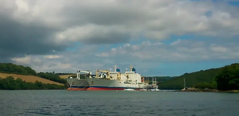 YONG XIANG 7 General Cargo IMO 8410586 photo 4