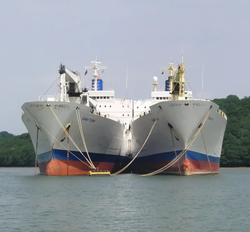 YONG XIANG 7 General Cargo IMO 8410586 photo 6