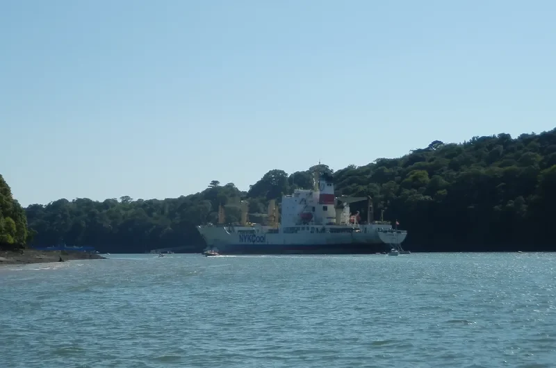 YONG XIANG 7 General Cargo IMO 8410586 photo 10