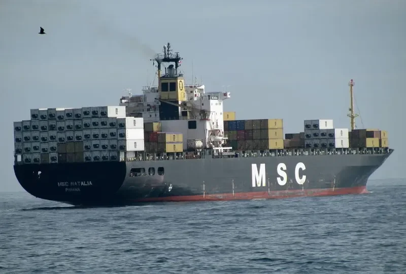 MSC NATALIA Container Ship IMO 8410940 photo 2