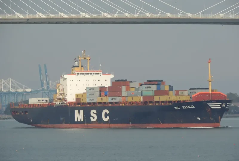 MSC NATALIA Container Ship IMO 8410940 photo 5