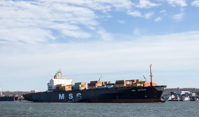 MSC NATALIA Container Ship IMO 8410940 photo 7