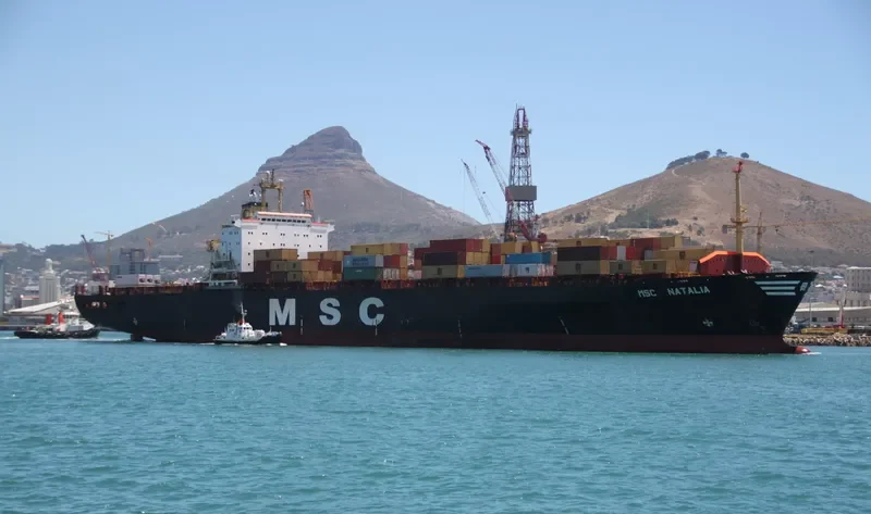 MSC NATALIA Container Ship IMO 8410940 photo 8