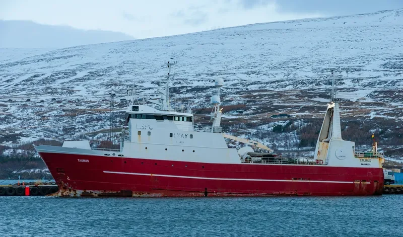 TAURUS General Cargo IMO 8411023