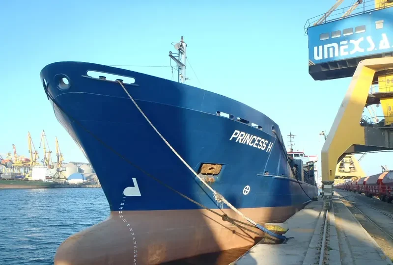 PRINCESS H General Cargo IMO 8411190