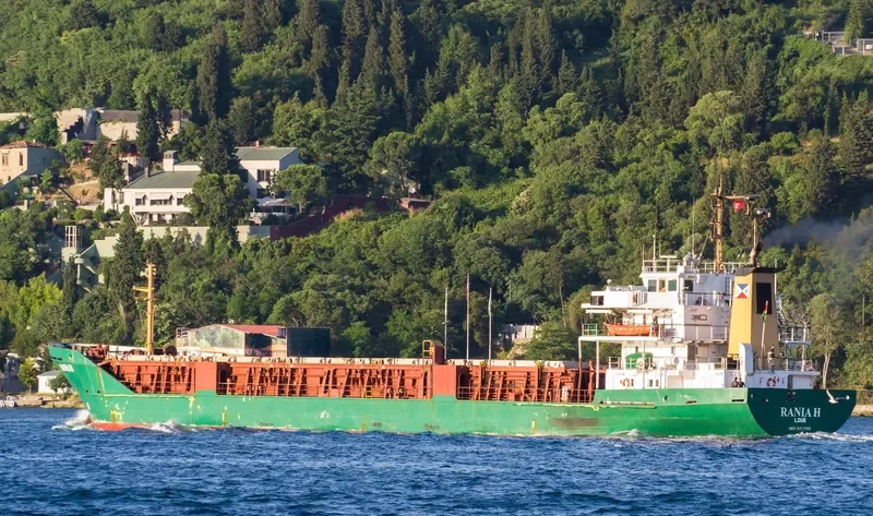 PRINCESS H General Cargo IMO 8411190 photo 8