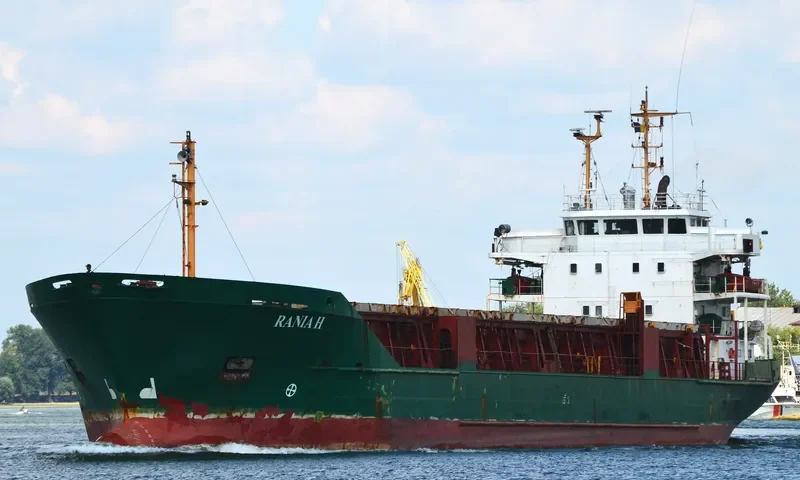 PRINCESS H General Cargo IMO 8411190 photo 10