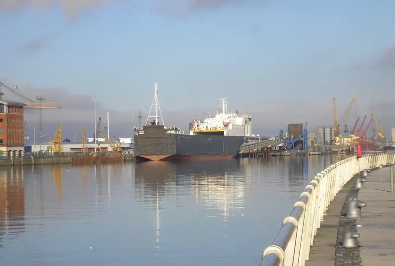 SANTA MARCELA Ro-Ro IMO 8411267 photo 4