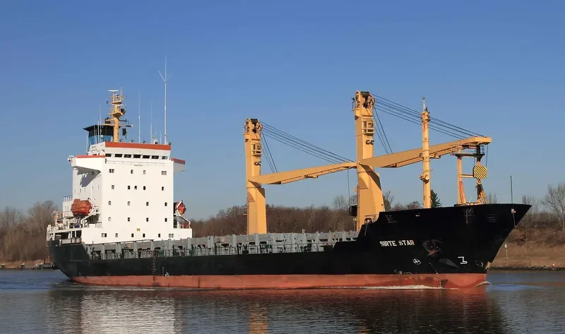 AMAL S Container Ship IMO 8411853 photo 3