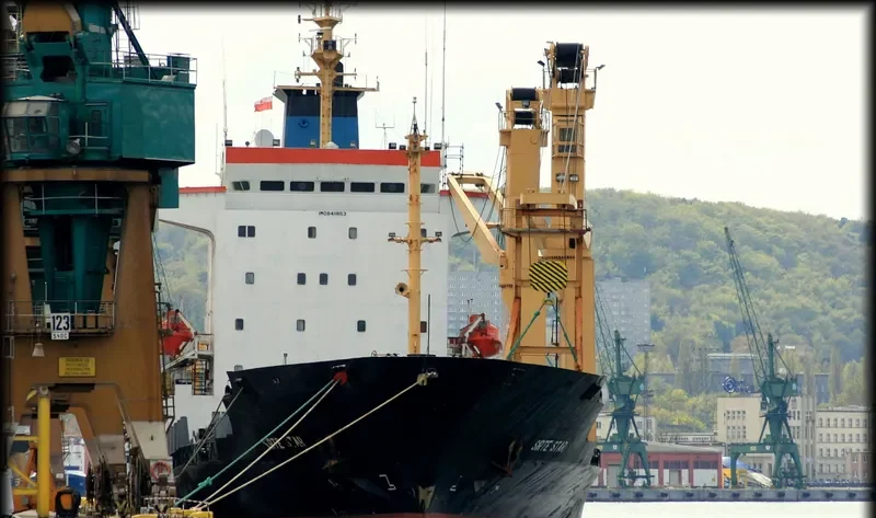 AMAL S Container Ship IMO 8411853 photo 9