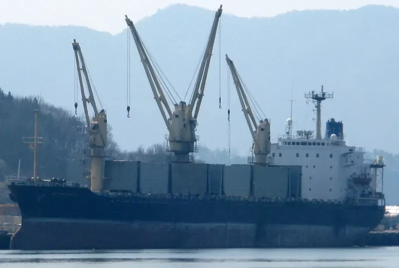 BM WARRIOR General Cargo IMO 8412534