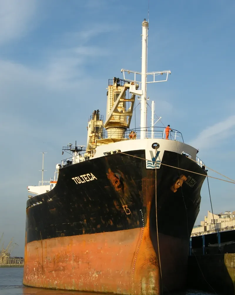 BM WARRIOR General Cargo IMO 8412534 photo 2