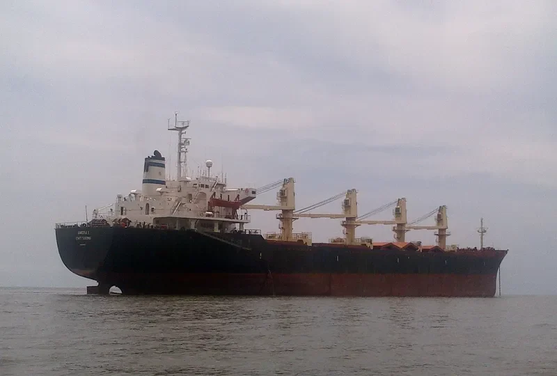 OMERA I Bulk Carrier IMO 8412778 photo 2