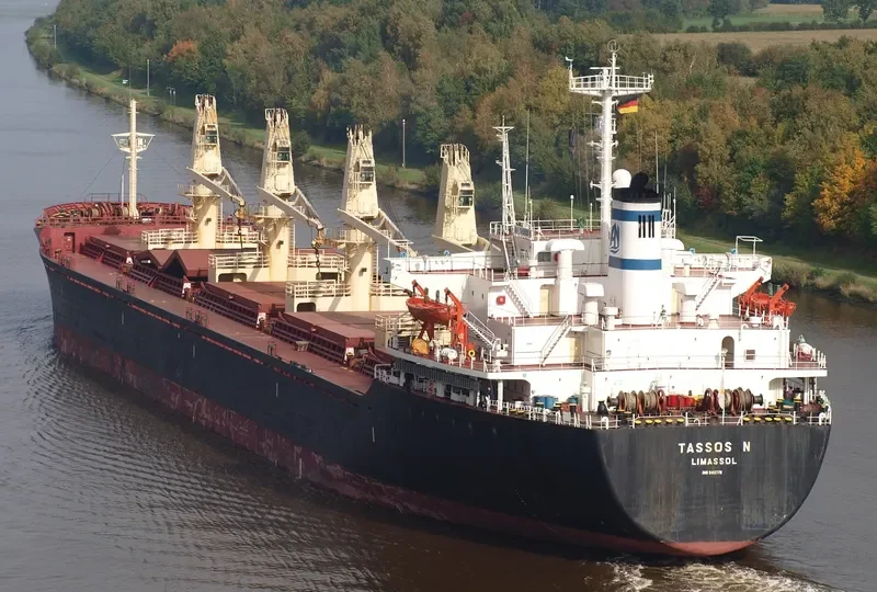 OMERA I Bulk Carrier IMO 8412778 photo 7