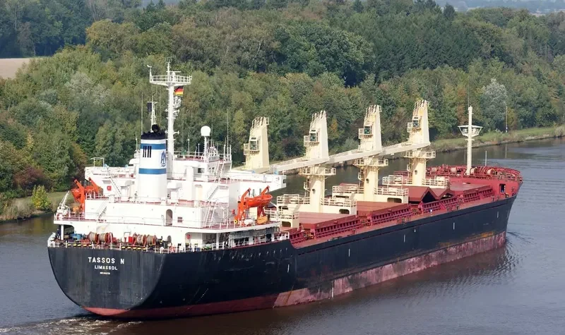 OMERA I Bulk Carrier IMO 8412778 photo 9