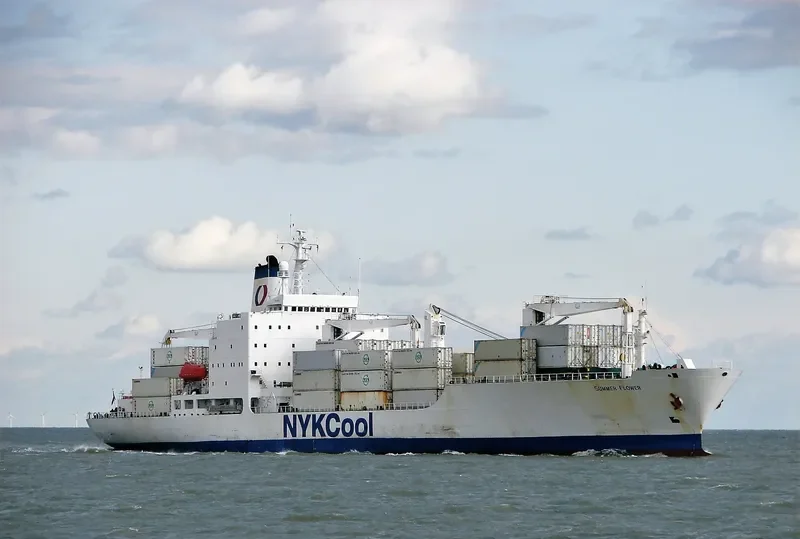 SUMMER FLOWER General Cargo IMO 8413019